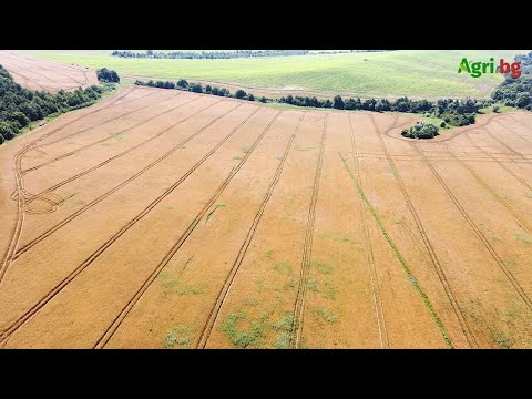 Видео: Всичко за правилата за съхранение на зърно