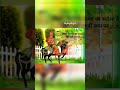 Pabu Ji New Song 2022 Short Status Pabuji Trendingsong Pabu Ji New Song 2022 Short Status Pabuji Trendingsong