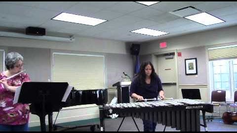 Thoughts for flute and vibraphone - Niel DePonte