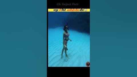 Transparent Kayak Hits Different In Deep Water..#shorts #youtubeshorts #shortvideo #fish #ytshorts