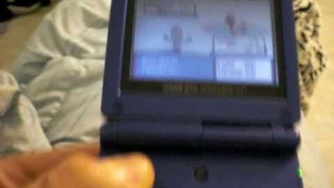 Uncatchable Shiny Poochyena