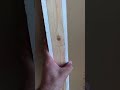 How to Build a Professional Partition Wall 🛠️ #DIYConstruction #GypsumWall #CarpentrySkills