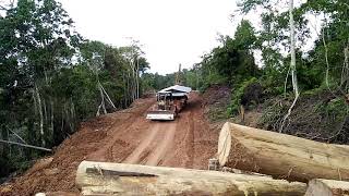 Tarik camp...maxwel camp rimbunan hijau campany