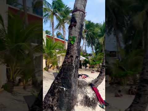 Boracay Station 1