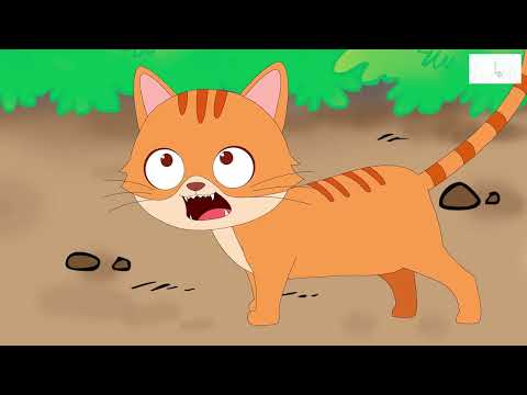 دخلت امرأة الن ار في هر ة مكرر