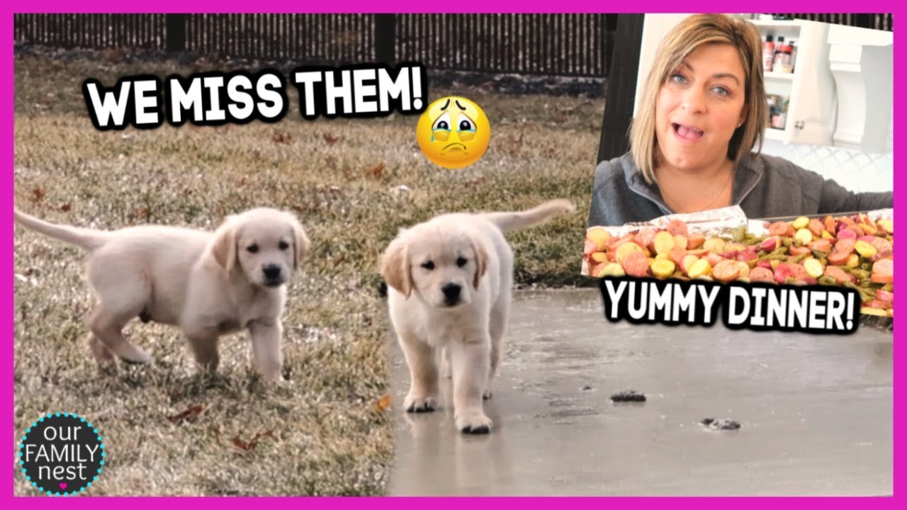 IT’S SO HARD SOMETIMES! DELICIOUS DINNER & A GIVEAWAY!