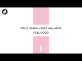 Felix Jaehn X Mike Williams Feel Good Warry Remix mp3