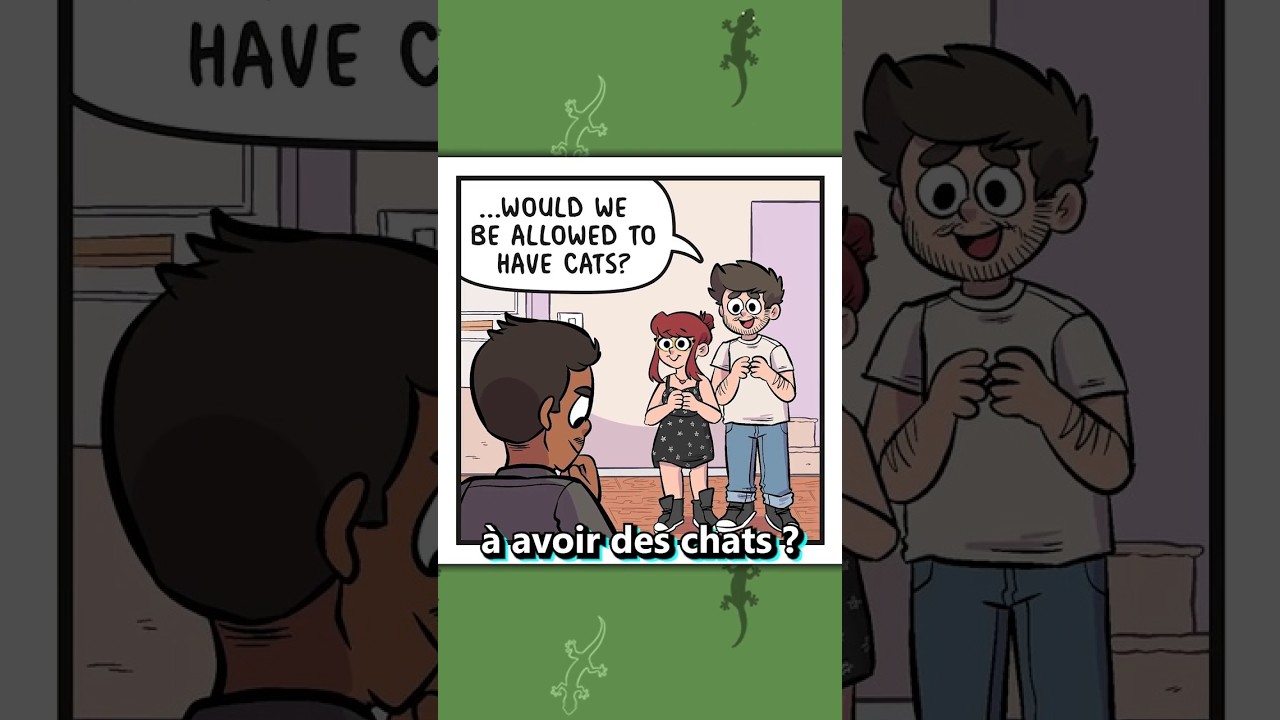Reddit En Francais ! Memes Qui Peuvent Prendre Des Chats !