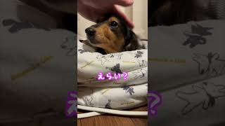 GWの幼稚園2