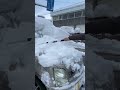 朝起きて静かに消えし雪若丸