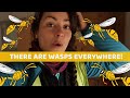 Sharing my room with wasps - The Short Way Down EP. 7