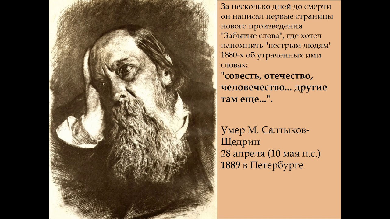 1889 словами. Салтыков Щедрин 1886. Салтыков Щедрин 1880.