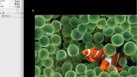 Photo Gallery Flash Tutorial 2/2