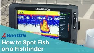 Fishfinder 101: What Fish Look Like On A Fish Finder | BoatUS screenshot 4