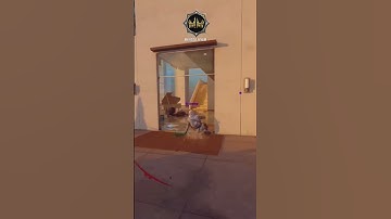 Combat axe master #callofduty #shorts #bo6