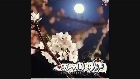 ‏ففروا إلى الله إني لكم منه نذير مبين (50) -- سورة الذاريات #Quran تلاوةلعام 143 الشيخ ياسرالدوسري