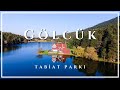 Gölcük Tabiat Parkı (Gölcük Nature Park) - Bolu | Drone 4K