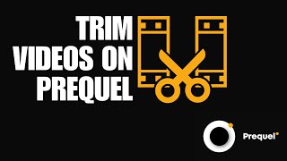 How To Trim Videos On Prequel screenshot 5