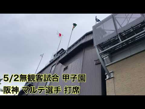 215.2 無観客試合の甲子園球場から聞こえる 阪神 マルテ選手ヒッティングマーチ