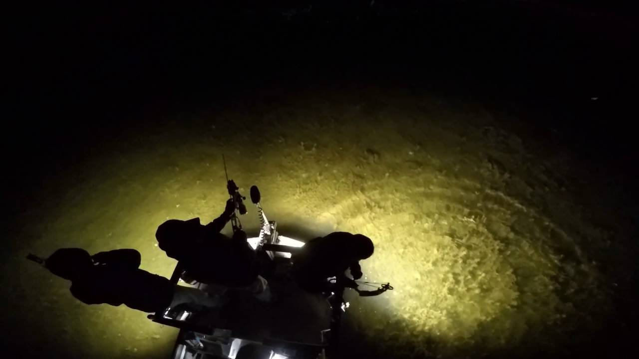 The Twisted Addictions Archery boy's killin' some carp. Bowfishing MN