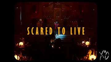 SCARED TO LIVE (MUSIC VIDEO) - THE WEEKND