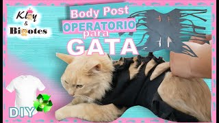 Body POST- Operatorio para Gata Esterilizada👕♻️ Ropa para Gata - YouTube