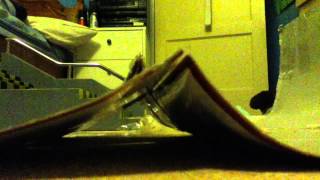 IMG 00401