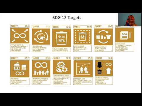 Sustainable Development Goals (SDGs) 11-13 |ESDM| NSTU