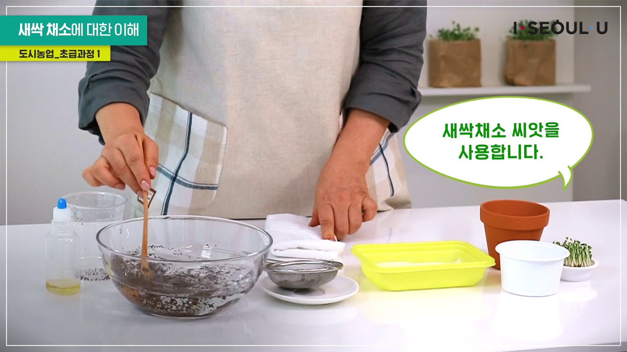 (초급 1강) 새싹채소에 대한 이해
