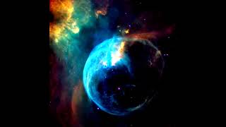 Stargaze - Dolly rose