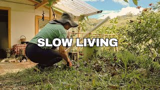 Most Days Are Like This Slow Living In Rural Colombia