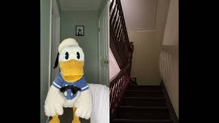 Donald Ducc Didn’t Actually Expect That To Happen @DonaldDucc
