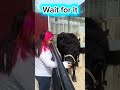 Awww until it wasn’t 🤣🤣🤣#indybugg1  #funny #shortvideo