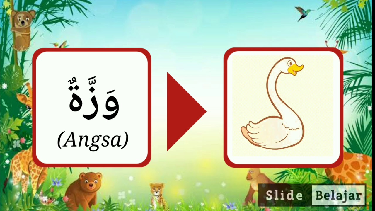 Nama-nama hewan kartun lucu dalam bahasa arab #1 | Belajar ...