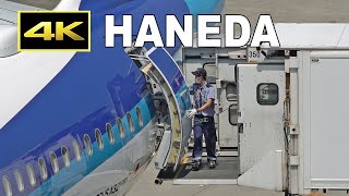 [4K] Ground handling / 飛行機はパイロットだけでは飛ばせません (2) / Tokyo Haneda Airport Terminal 2 / 羽田空港 ANA