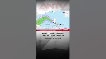 Bão số 12 Fengshen đã vào Biển Đông, tăng tốc lao vào Trung Bộ #antv #shorts #thoisu #tinbao