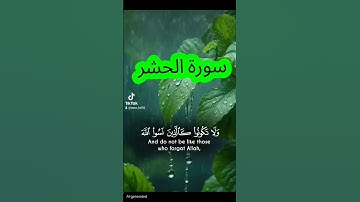 سورة الحشر #اكسبلور #القزابري #الرحمن #دويتو #duet #المصحف #تيك_توك #quran #لايك #حالات_واتس