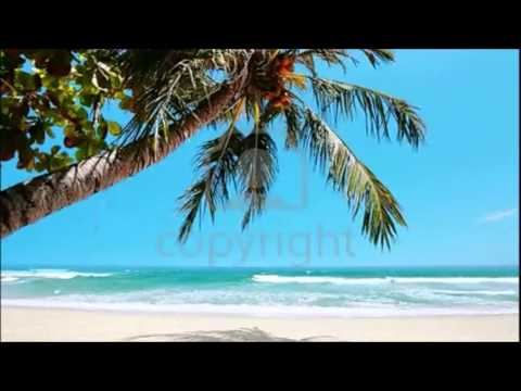 Hawaii Bombay -Mecano