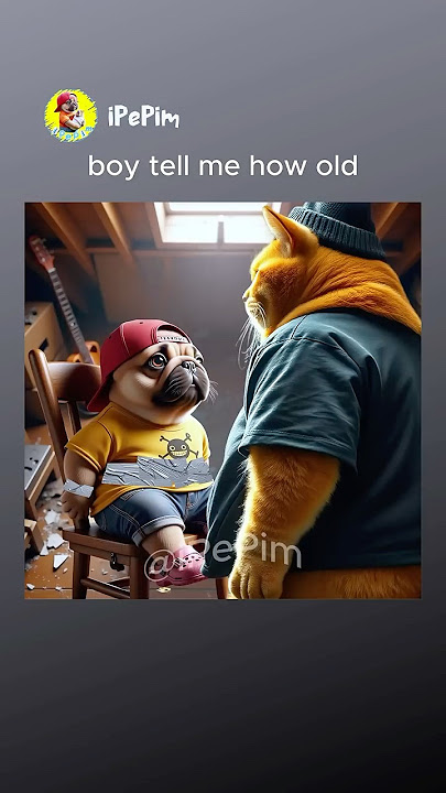 This Kidnapping Took a Turn No One Expected! 🐱😳