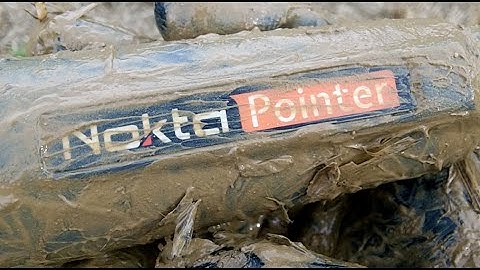 HONEST Nokta Pointer Review