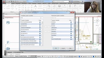 Protect Your AutoCAD System Variables (Lynn Allen/Cadalyst Magazine)