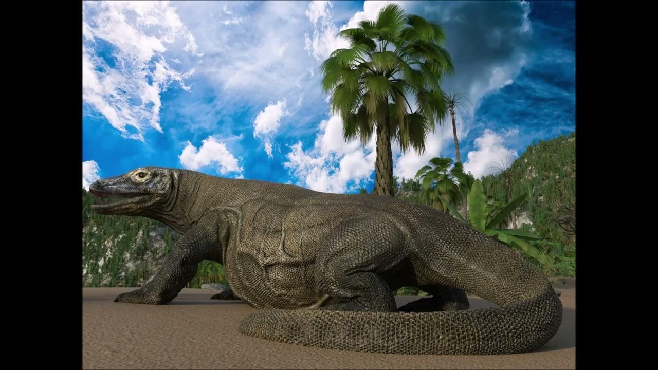 Komodo dragon's belly 2 - Belly loop animation - YouTube