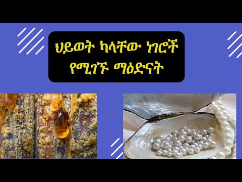 ቪዲዮ: ከቤንች የተሰሩ ቢላዎች፡ ግምገማዎች፣ ዝርዝር መግለጫዎች