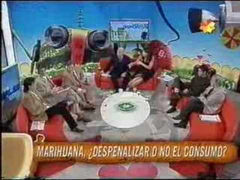 Claudio Izaguirre dice que la marihuana casera no ...