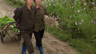 How one activist helps North Koreans grow their own food – Ep. 303