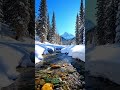 A beautiful view of the snowy valley ❄️ #meditationmusic #deepsleep #naturesounds #mindfulness