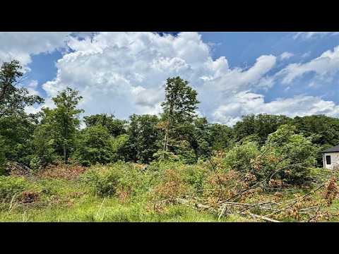 3606 Polo Boulevard, Poland, OH home video tour