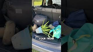Ecoliner USA Premium Cargo Liners  #carcare #automobile #cargoliners #dogs #uscars