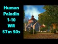 Classic vanilla wow  paladin 110 world record 57m 50s