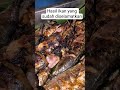 🐟 : sudah bagus aku diair 😭